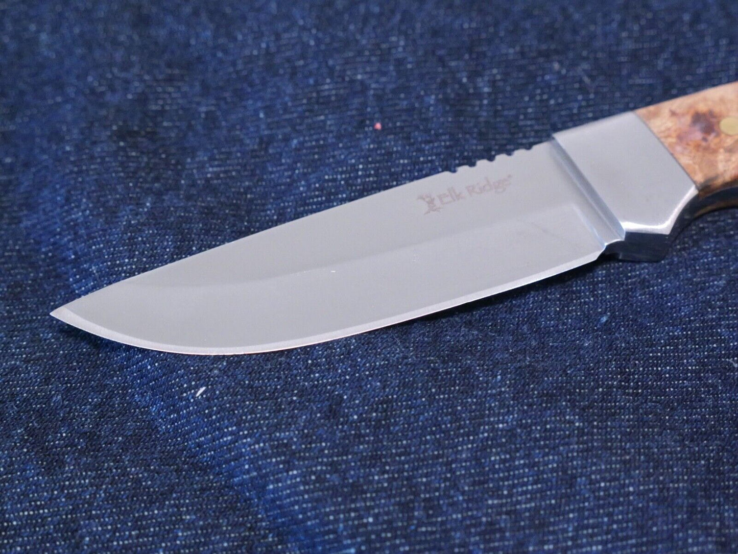 8" Fixed Blade Survival Knife Full Tang Wood Handle 4" Blade Nylon Sheath Medium