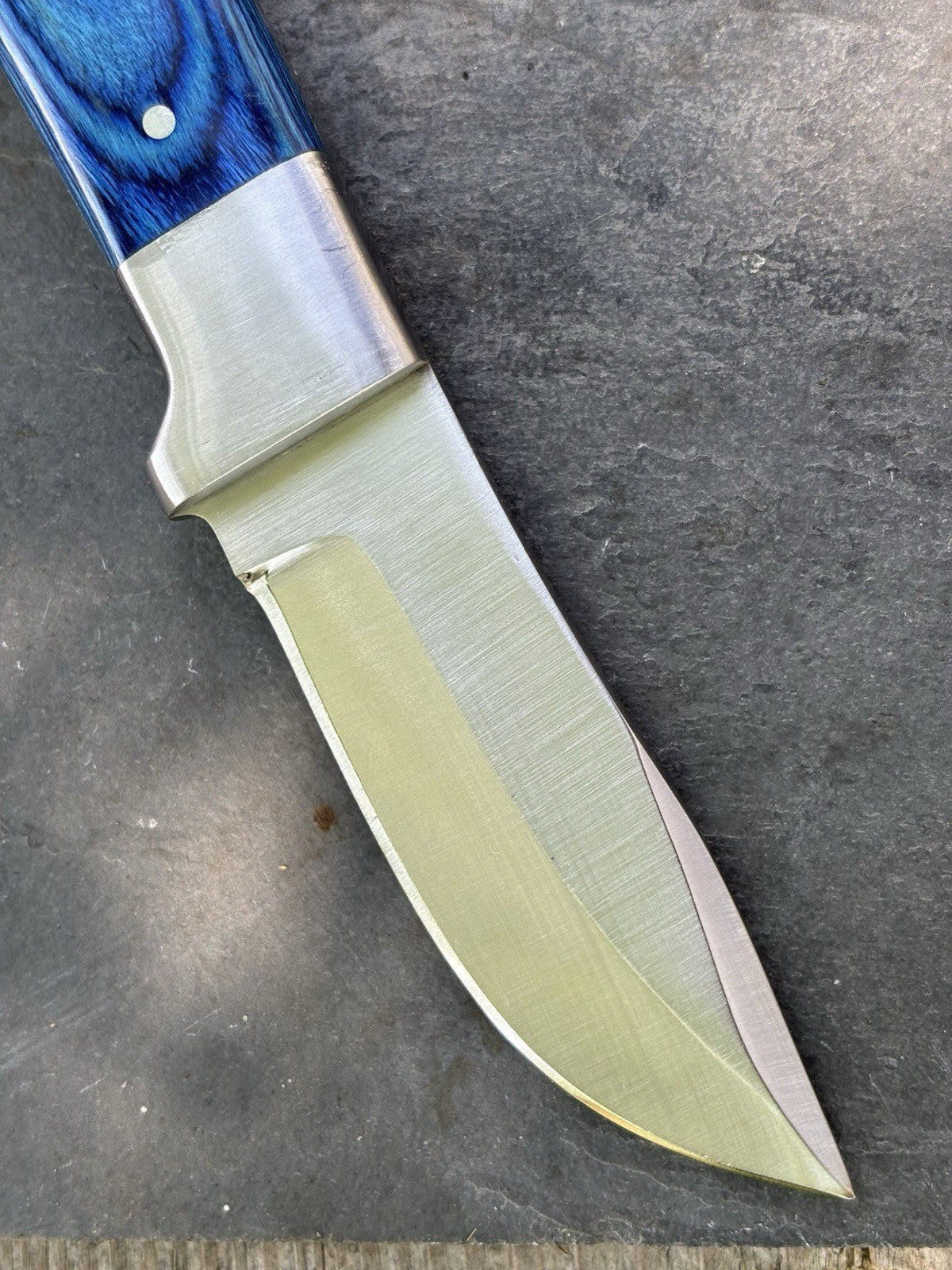 7” Chrome/Blue Fixed Blade Knife Full Tang Leather Sheath Sharp Small