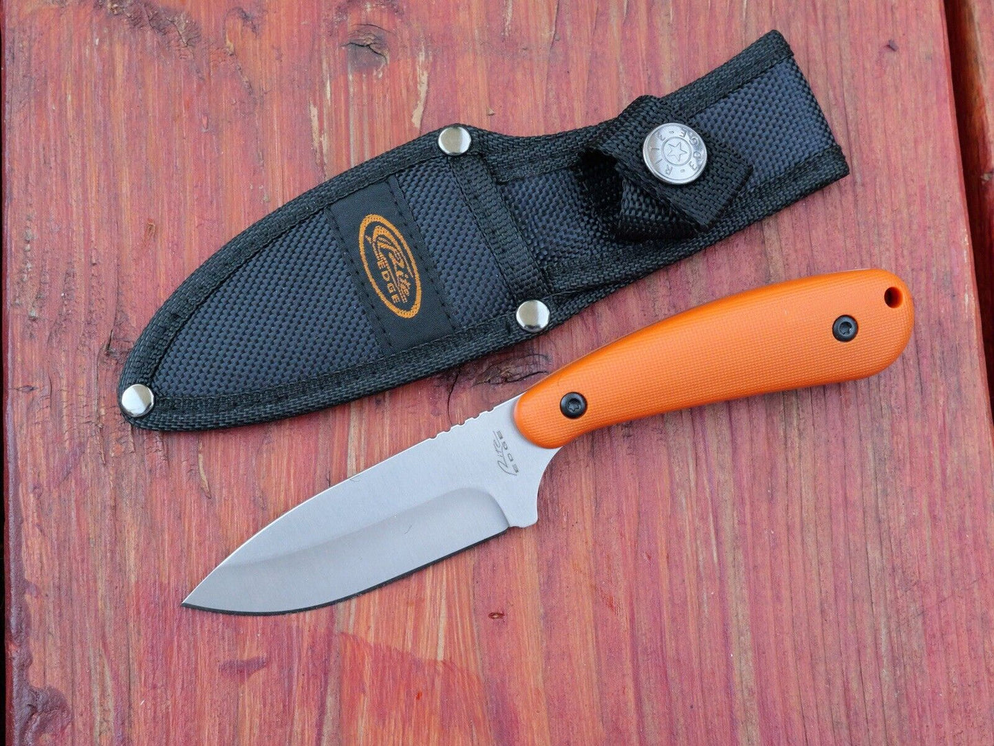 7” Mini Fixed Blade Knife Heavy Duty Full Tang Nylon Sheath Orange Hi Visibility