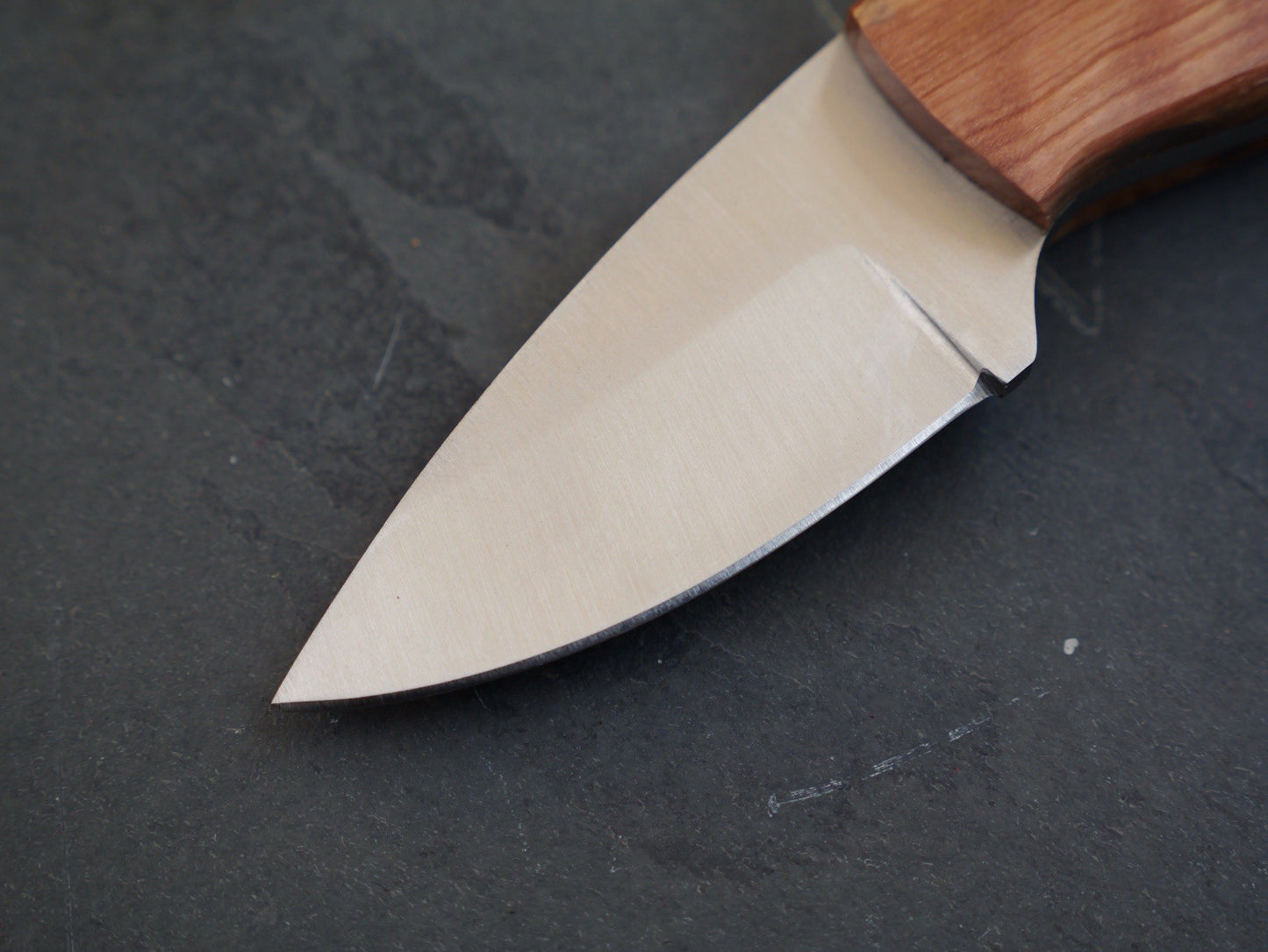 5” Fixed Blade Knife Mini Full Tang Leather Sheath 2” Blade Sharp Wood Handle