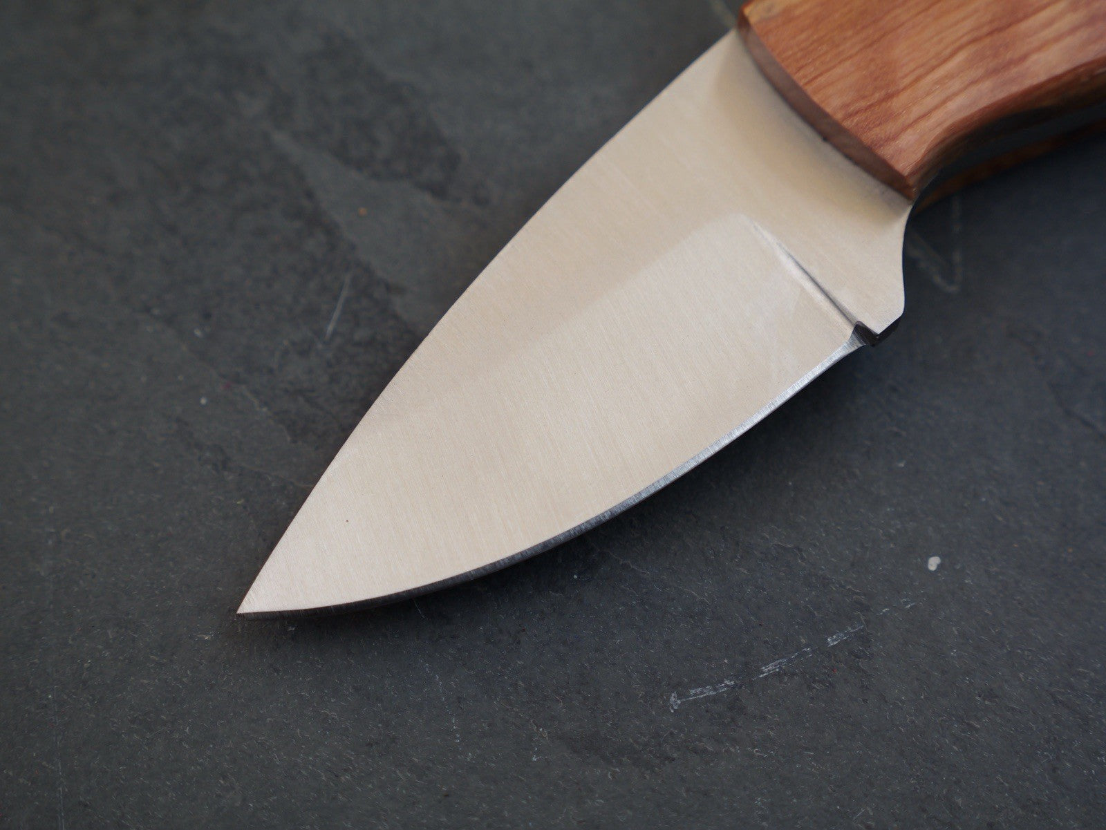 5” Fixed Blade Knife Mini Full Tang Leather Sheath 2” Blade Sharp Wood Handle