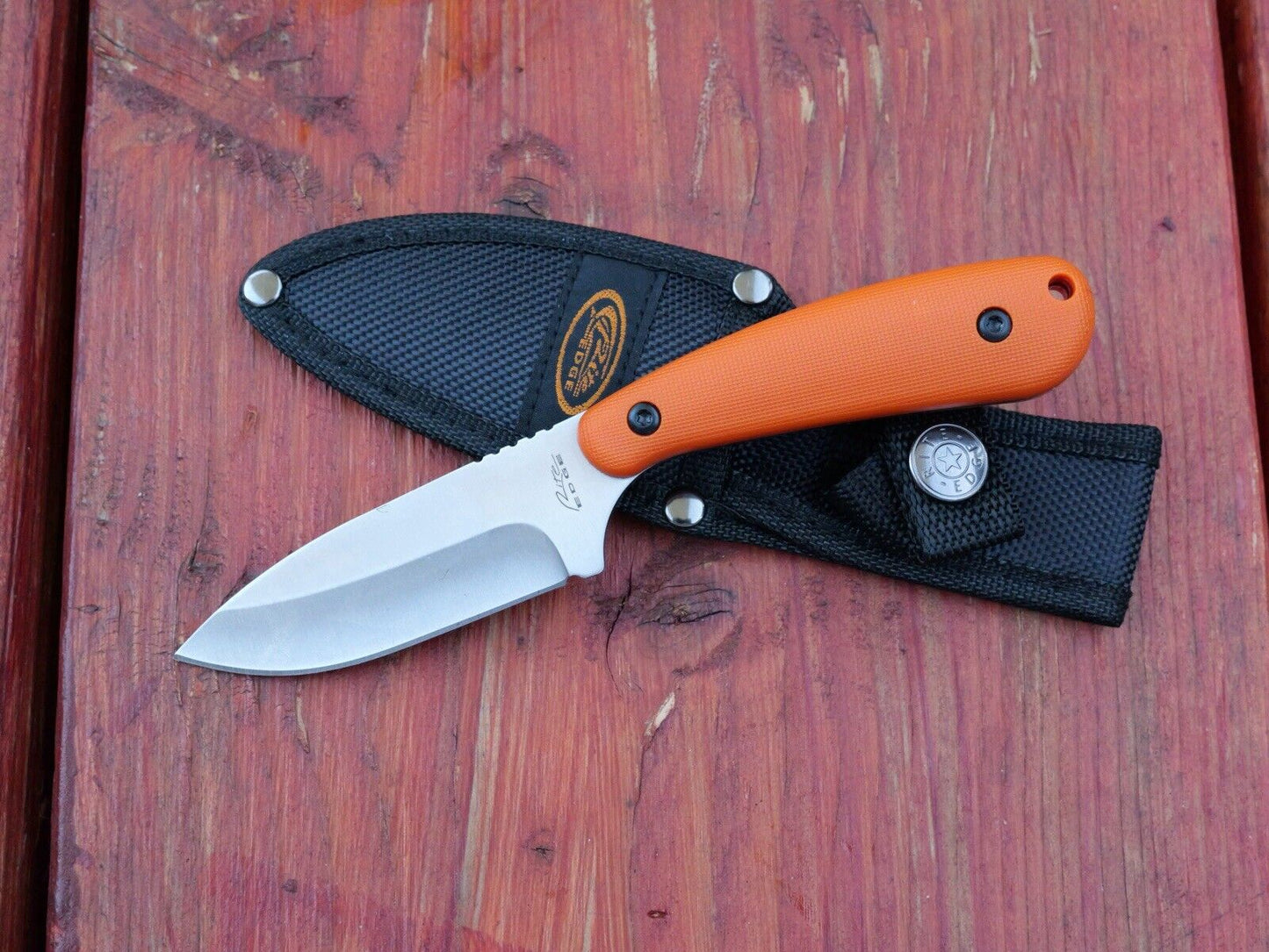 7” Mini Fixed Blade Knife Heavy Duty Full Tang Nylon Sheath Orange Hi Visibility