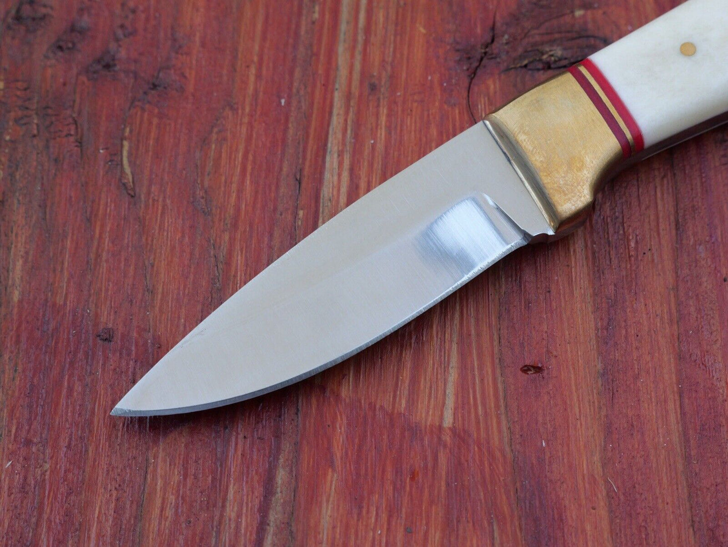 6.5” Mini Fixed Blade Knife Full Tang Brass Bolster Leather Sheath Mirror Finish