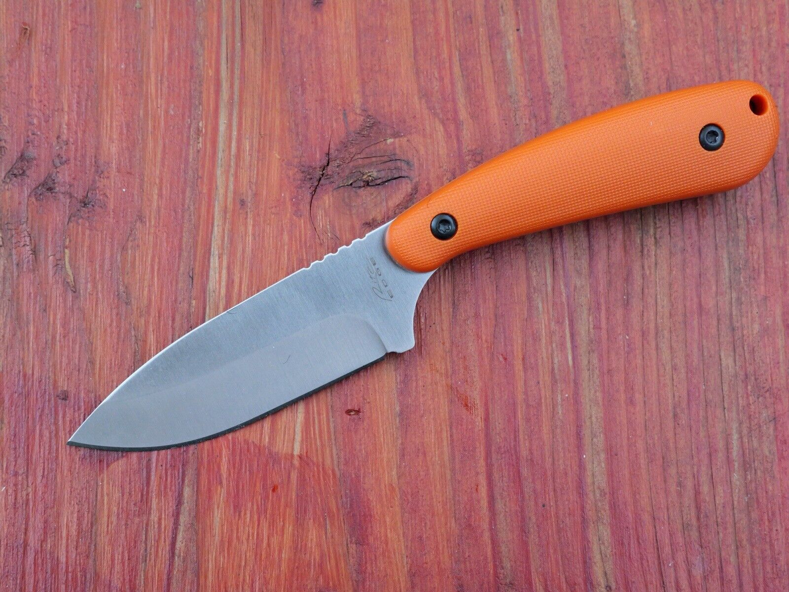 7” Mini Fixed Blade Knife Heavy Duty Full Tang Nylon Sheath Orange Hi Visibility