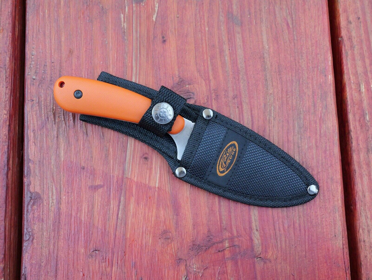 7” Mini Fixed Blade Knife Heavy Duty Full Tang Nylon Sheath Orange Hi Visibility